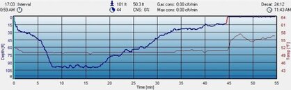 dive1.jpg