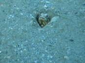 IMG_0324.jpg