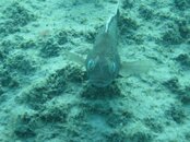 IMG_0349.jpg