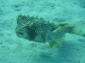IMG_0367.jpg