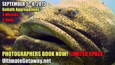UG2013_goliath_promo01.jpg