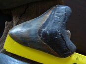 DSC04501.jpg