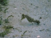 IMG_0410.jpg
