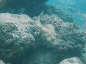 IMG_0430.jpg