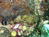 IMG_0445.jpg