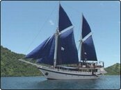 komodo-dancer-1.jpg komodo-dancer-1.jpg