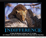 indifference.jpg