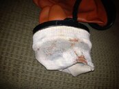glove.jpg