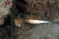 IMG_8095wb.jpg