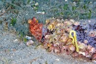 IMG_8248wa.jpg