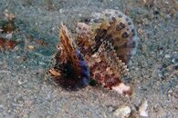 IMG_8410wb.jpg