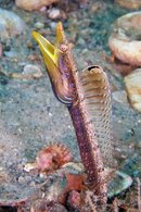 IMG_8704wa.jpg
