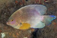 IMG_8824wa.jpg