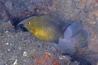 IMG_8887wb.jpg