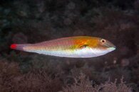 IMG_8903wa.jpg