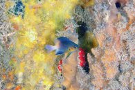 IMG_8957wa.jpg