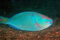 IMG_9010wa.jpg