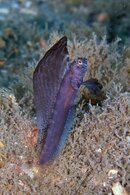 IMG_9097wa.jpg