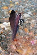 IMG_9104wa.jpg