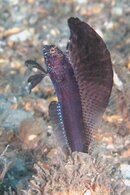 IMG_9172wa.jpg