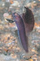 IMG_9176wa.jpg