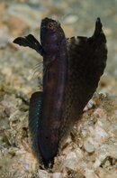 BHB-201306238551.jpg