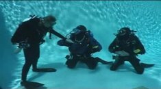 padi direction tec.jpg