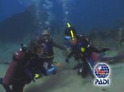 padi ow promo.jpg