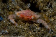 BHB-201306218049.jpg