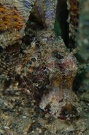 BHB-201306238461.jpg