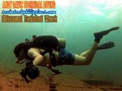 WILLIAM-WRECK-web.jpg