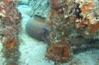 IMG_3252.jpg
