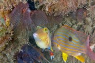 IMG_9286wa.jpg