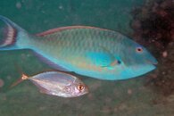 IMG_9312wb.jpg