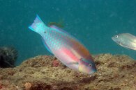 IMG_9329wb.jpg