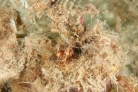 IMG_9349wb hider.jpg
