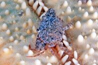 IMG_9437wa.jpg
