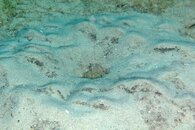 IMG_9390wb.jpg