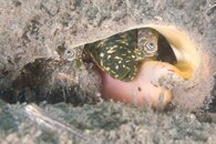 IMG_9361wb.jpg