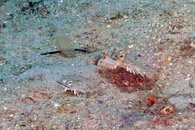 IMG_9517wa.jpg
