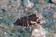 IMG_9573wa.jpg