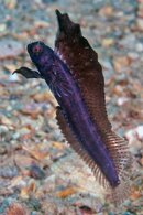 IMG_9785wa2.jpg