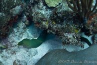 ©2013 Dennis Harmon, Bonaire-28.jpg