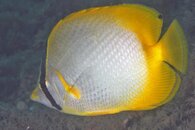 IMG_9875wa.jpg