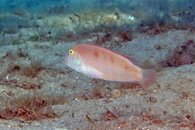 IMG_9881wb.jpg