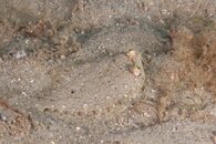 IMG_9882wb.jpg