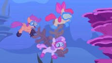 pony.jpg
