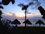 IMG_0785.jpg