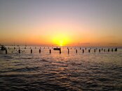 IMG_0797.jpg