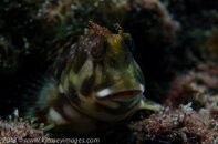 BHB-201307189715.jpg